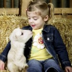 Farm Friends