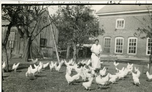 Brick Poultry House yard